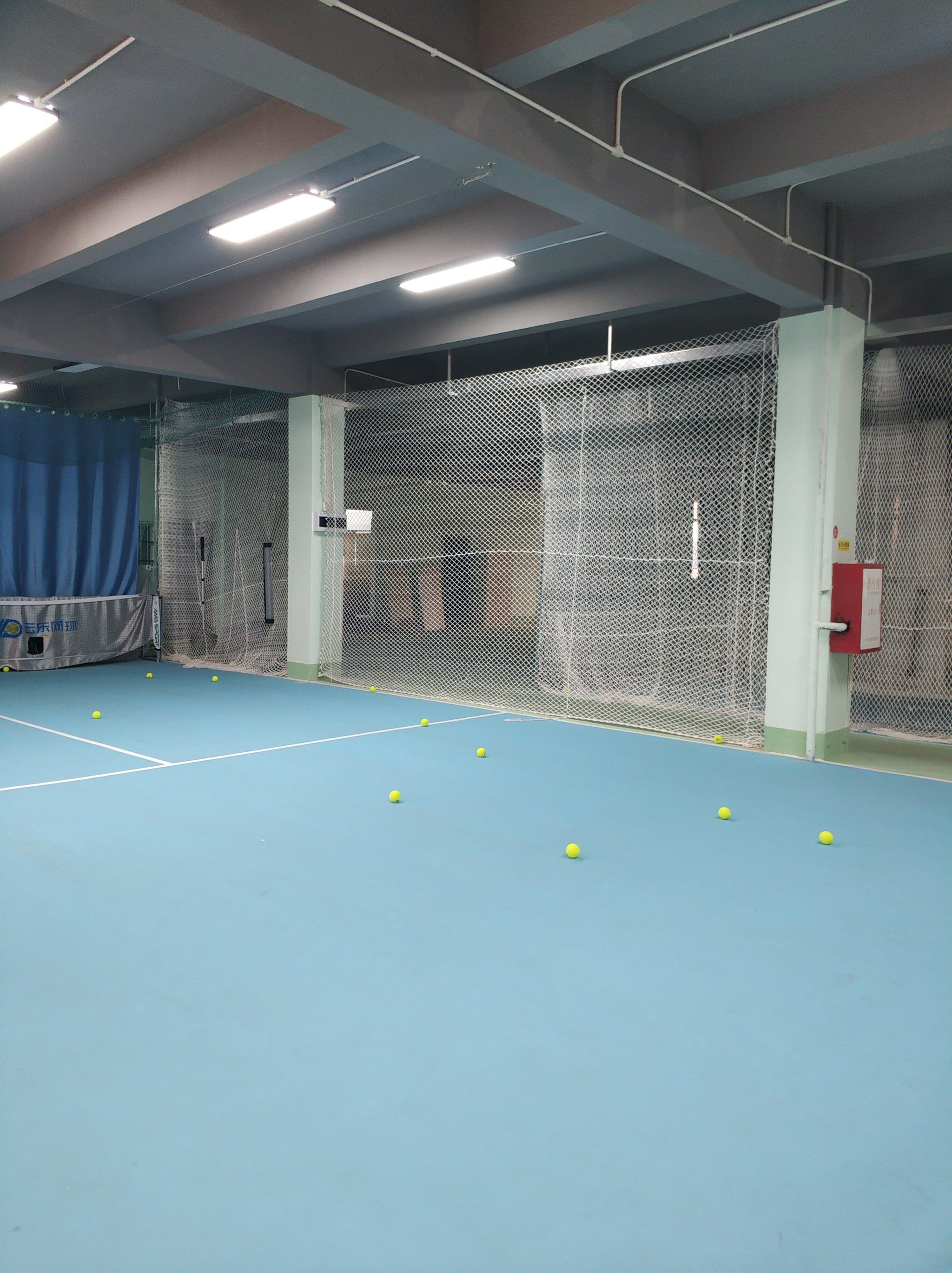 奇的恢复能 奇的恢复能